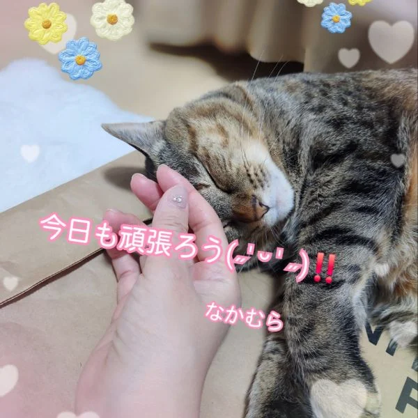 おはよ🐈💕