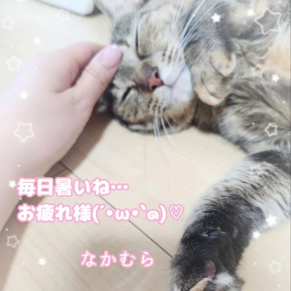 次回出勤‎💚