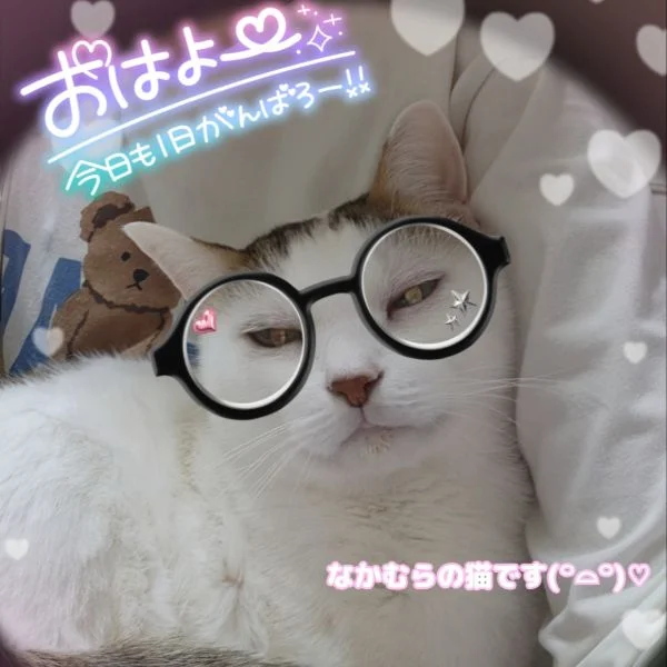 おはよう🐱💕