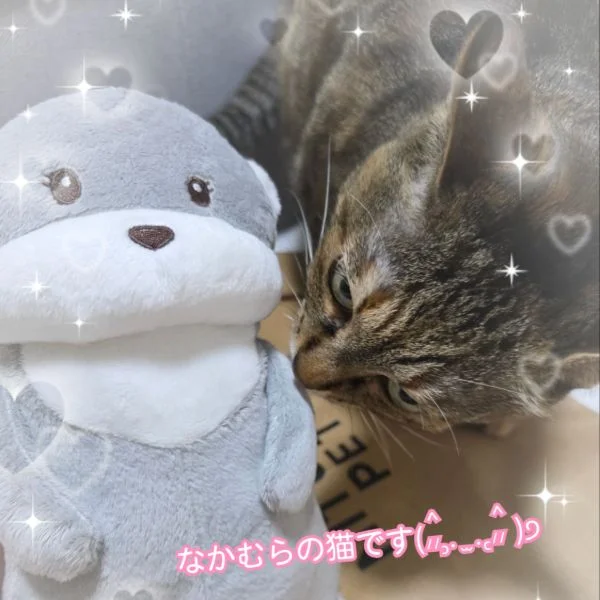 新しい…😶💕