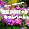 新しい働き方の提案です☺️のサムネイル