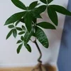 容姿や年齢って稼ぎに直結するの？のサムネイル