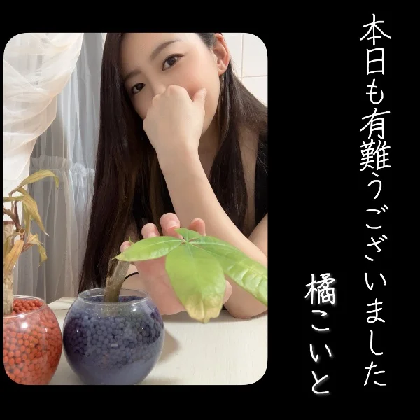 本日もありがとうございました. ݁₊᪥⋆. ݁