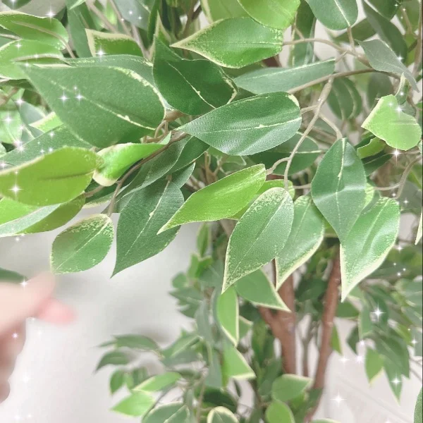【船橋出勤】ぬくもり♡