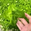 今日位ならのサムネイル