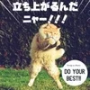 はやいのサムネイル