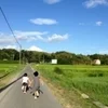 ホタルのサムネイル