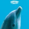 熱気のサムネイル