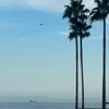 残暑のサムネイル