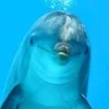 募集中のサムネイル
