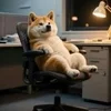今週ものサムネイル