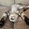お疲れ様でしたのサムネイル