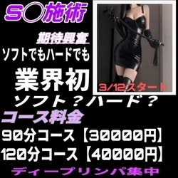 SM施術サービス【愛のムチとろけるロー...