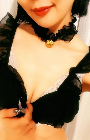 黒猫