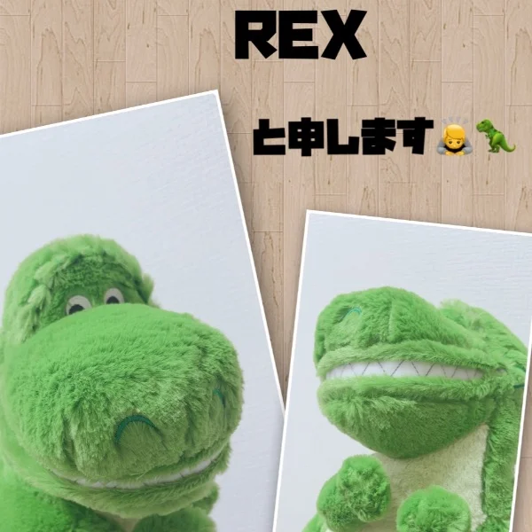 Hi🦖