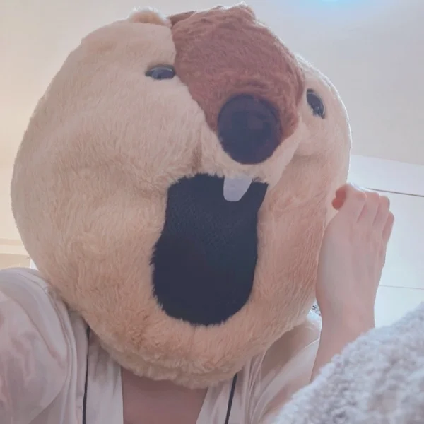 本日17時からいます！！！