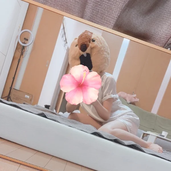 good morning🌼