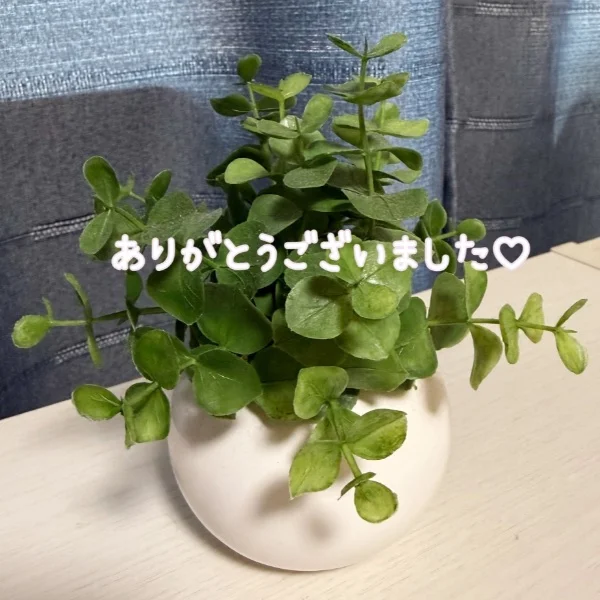 7月18日(土)のお礼💛
