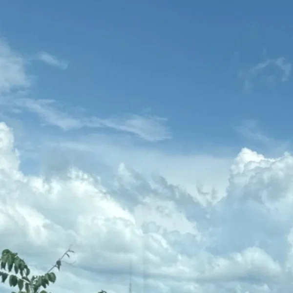 よろしくお願いします🌟