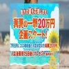 夏だけ限定応援キャンペーンꉂꉂ📣のサムネイル
