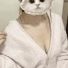 真白みさ