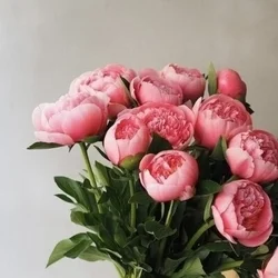 お店のコースその1