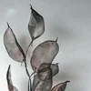 peony
