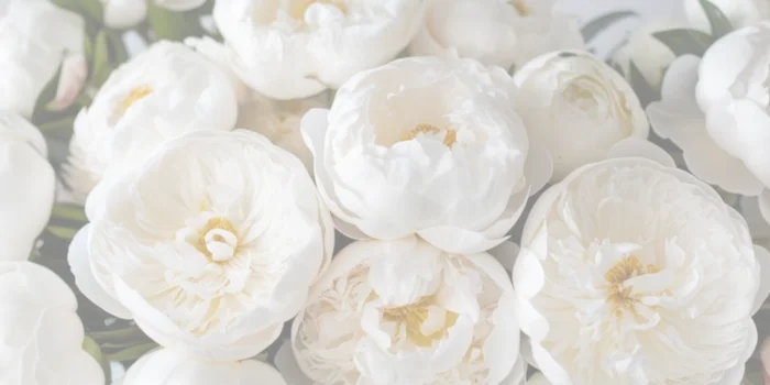 peony