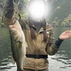 さくら