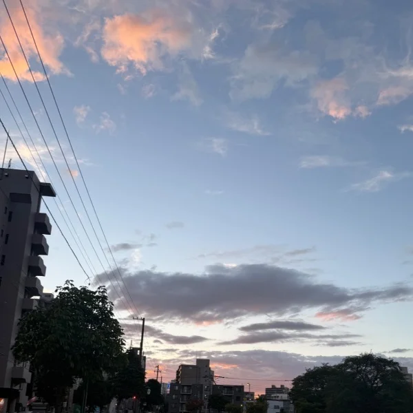 ゆうがただいすき