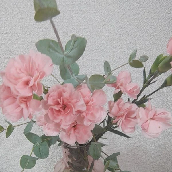 🍁おはようございます☘️☘️