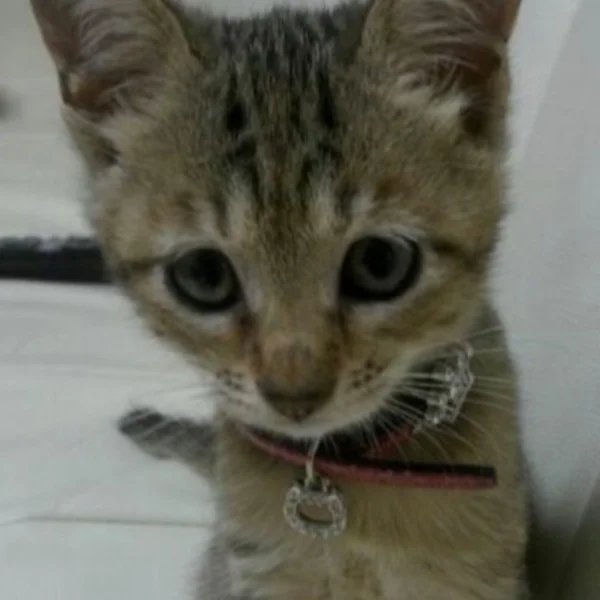 今日来てくれたお兄様へ💕