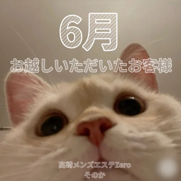 6月お越しいただいたお客様へ