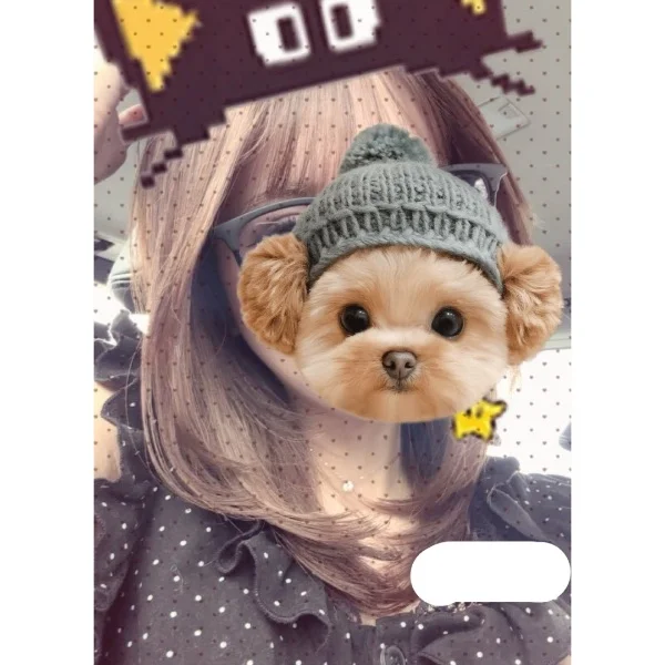 ^ᴗ ̫ ᴗ^♩
