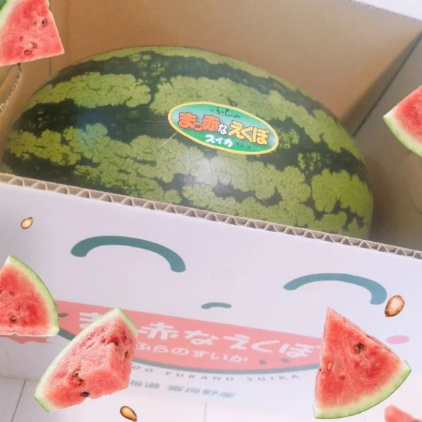 スイカ