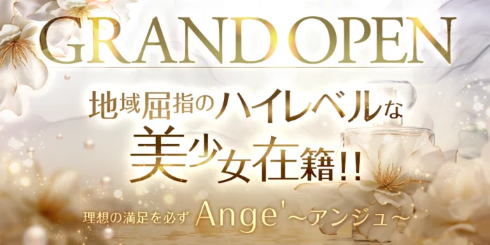 Ange'～アンジュ～