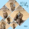 稼げてる？のサムネイル
