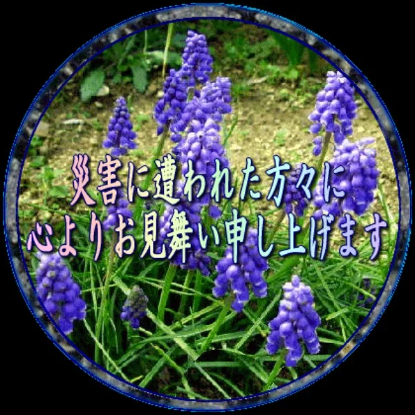 酷暑日が続いております…