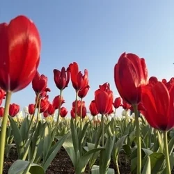 上質な癒しを追求した特別空間へ🕊️✨
