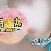 新人☆月丸