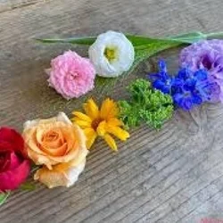 さくら🌸