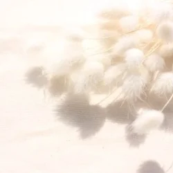 せいら♡