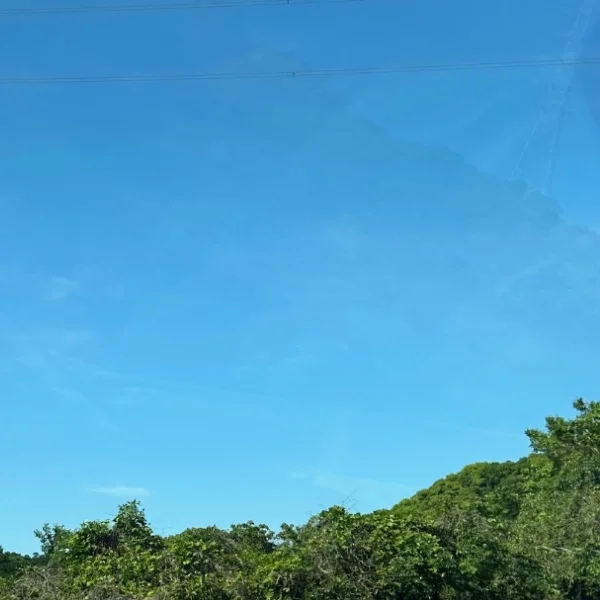 このあと11時から🌿