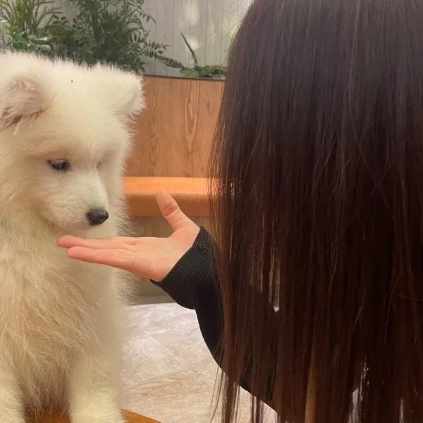 今日のお礼💕
