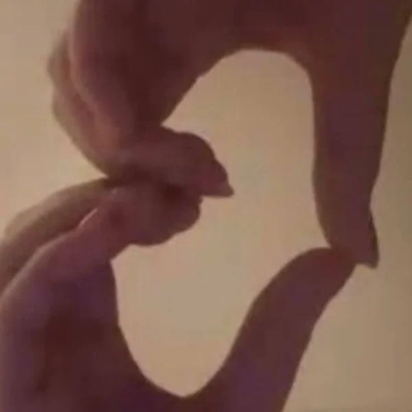 素敵な火曜日でした♡１８日のお礼💌