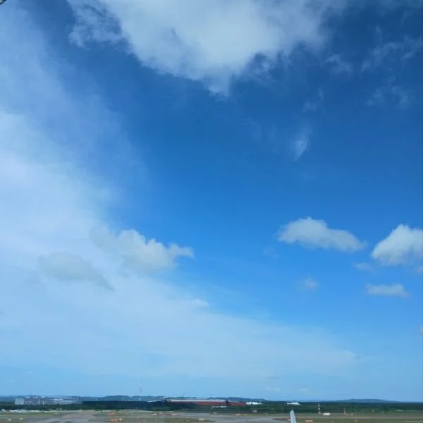 ✈️