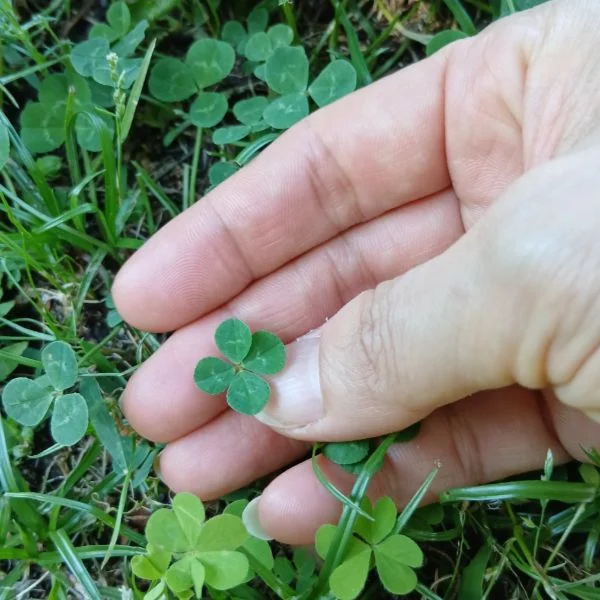 休日～🍀