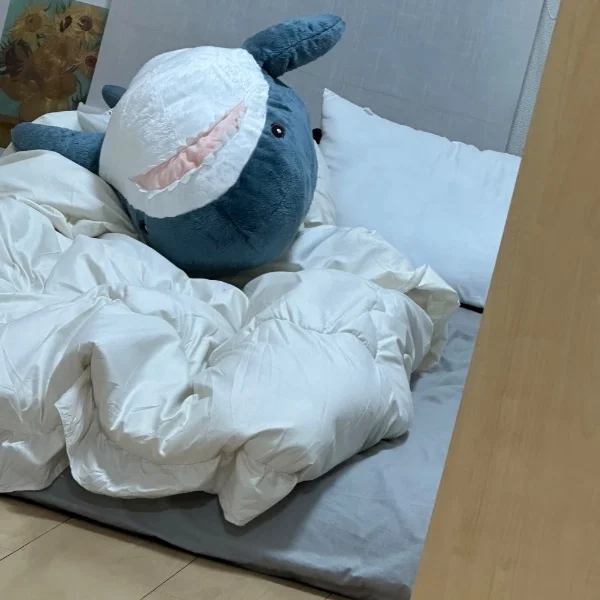本日14:00~出勤します🌙* :゚