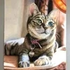 ※※お客様払いフルバックキャンペーン制度導入実施中※※のサムネイル