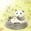  ご希望の待遇があれば教えてください、順次導入予定です♪のサムネイル